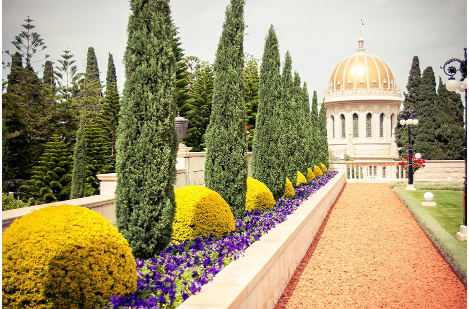 Ocean fish in Barcelona aquarium