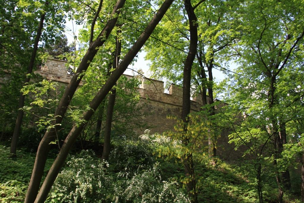 "חומת הרעב" - קיר שנבנה תחת קרל הרביעי