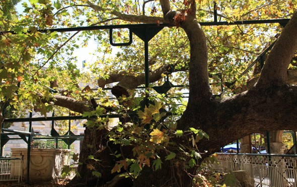 אטרקציות-קוס-יוון