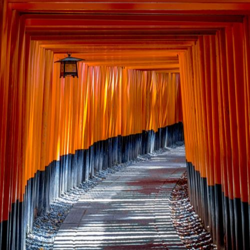 Fushimi Inari Shrine <br>(Kyoto)