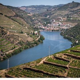 Alto Douro (Douro River Valley)