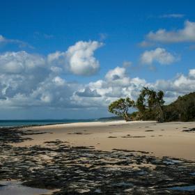 Fraser Island (East Coast of Australia)