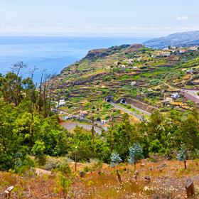 Madeira Islands (the Atlantic Ocean)