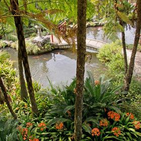 Monte Palace Tropical Garden (Funchal)