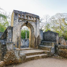 The Ruins of Gedi