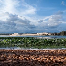 White Dunes and the Lotus Lake (Mui Ne, Phan Thiet)
