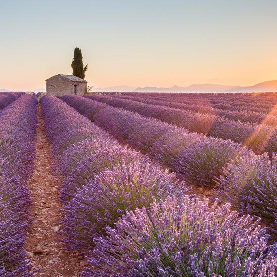 <br><br>Provence region