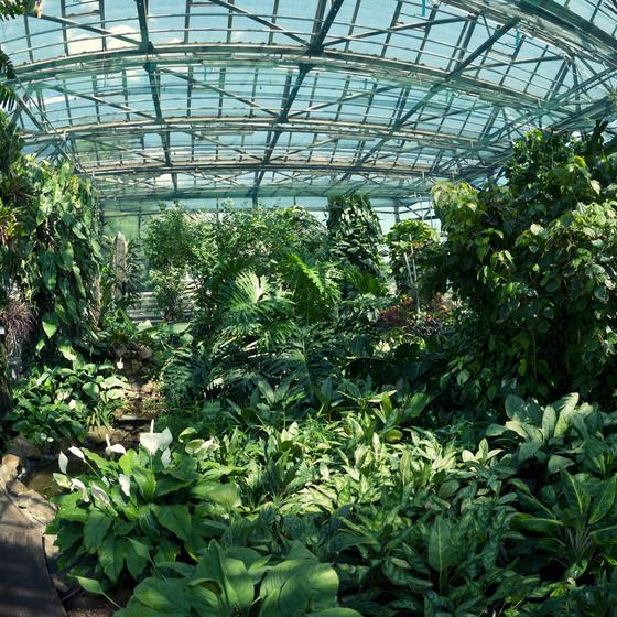 Caen Botanical Garden