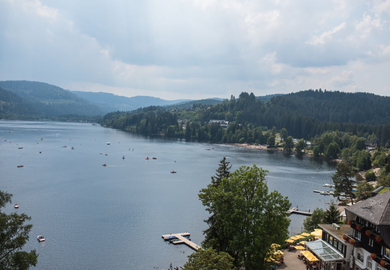 יער השחור עם ילדים אטרקציות