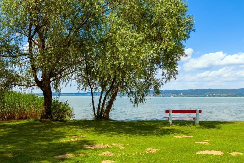 הונגריה עם ילדים