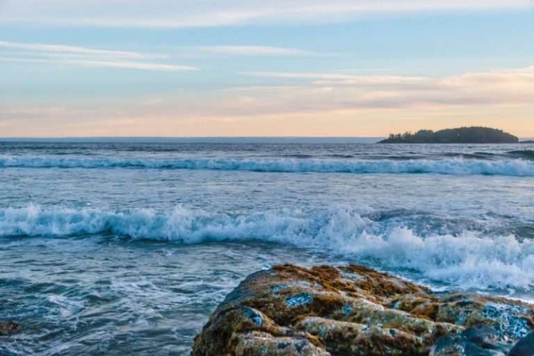 Pacific Rim: Comprehensive Travel Route | West Coast Guide 2026 ...