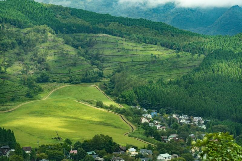 اليابان في مارس