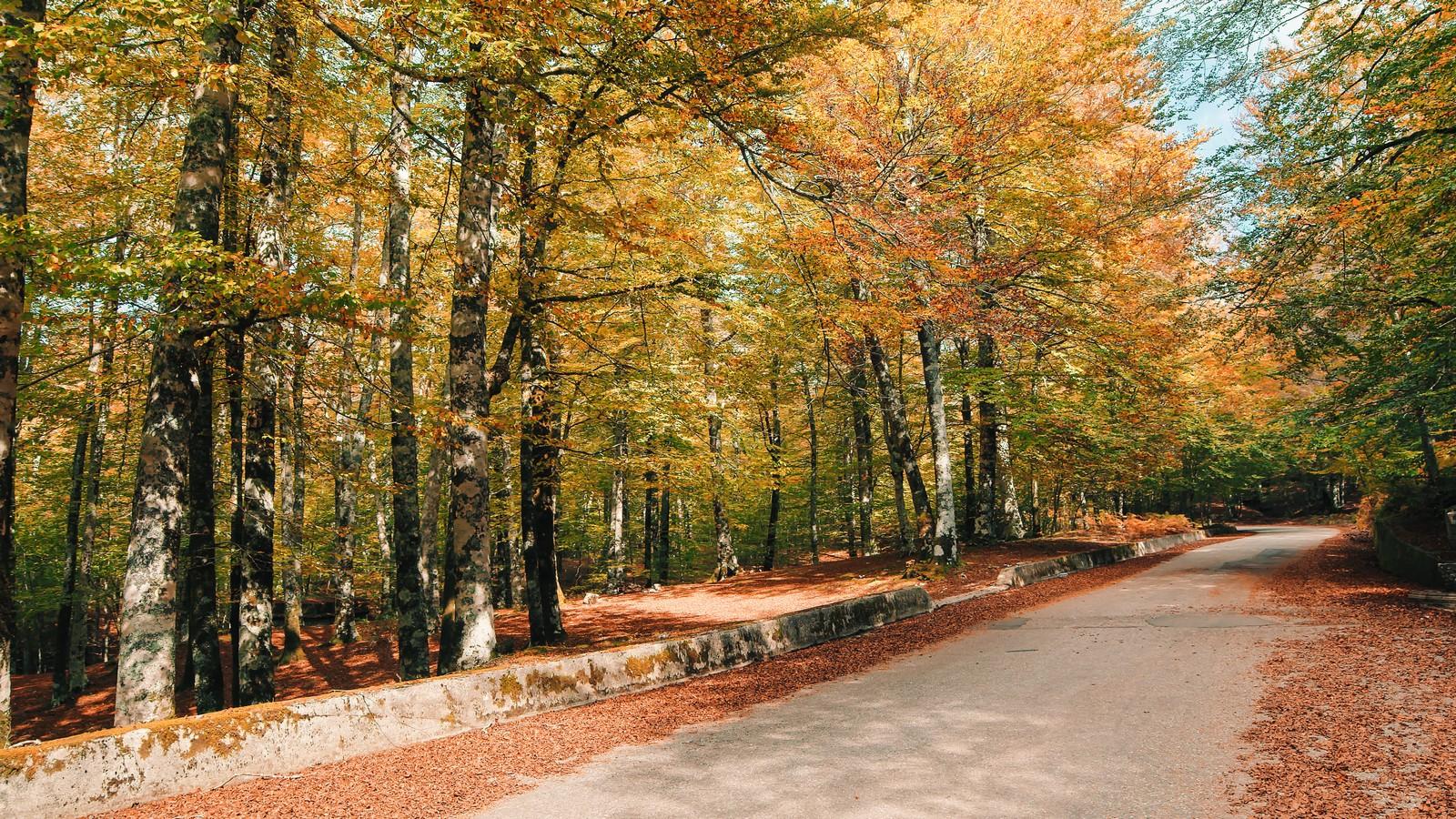 איטליה בסתיו