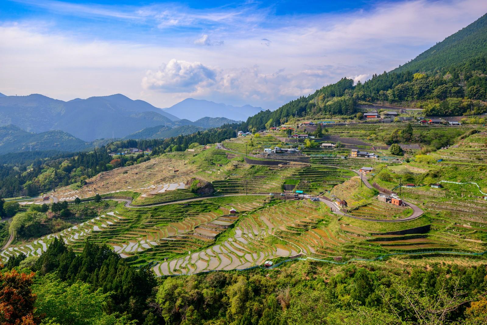 יפן באוגוסט
