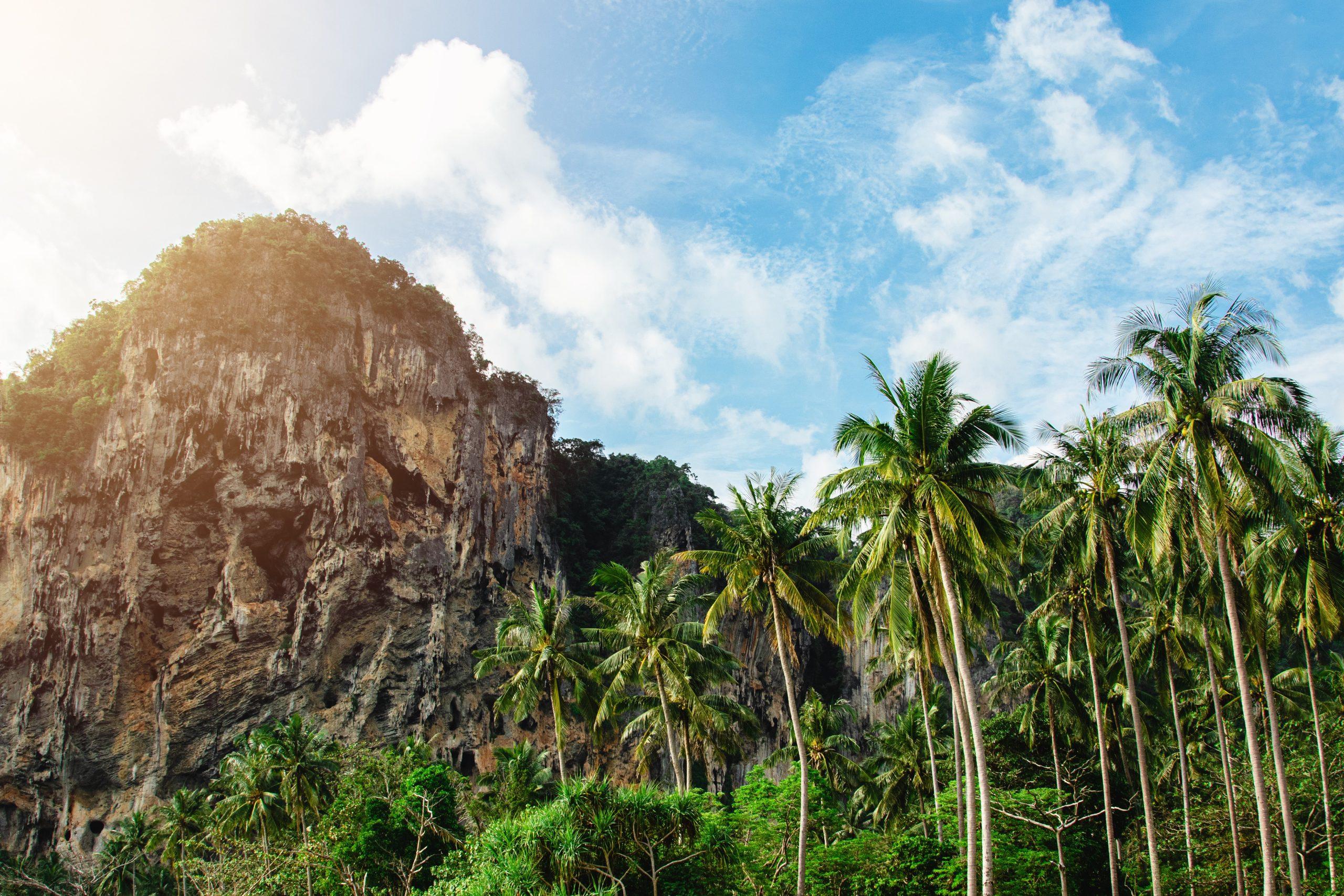 תאילנד בדצמבר