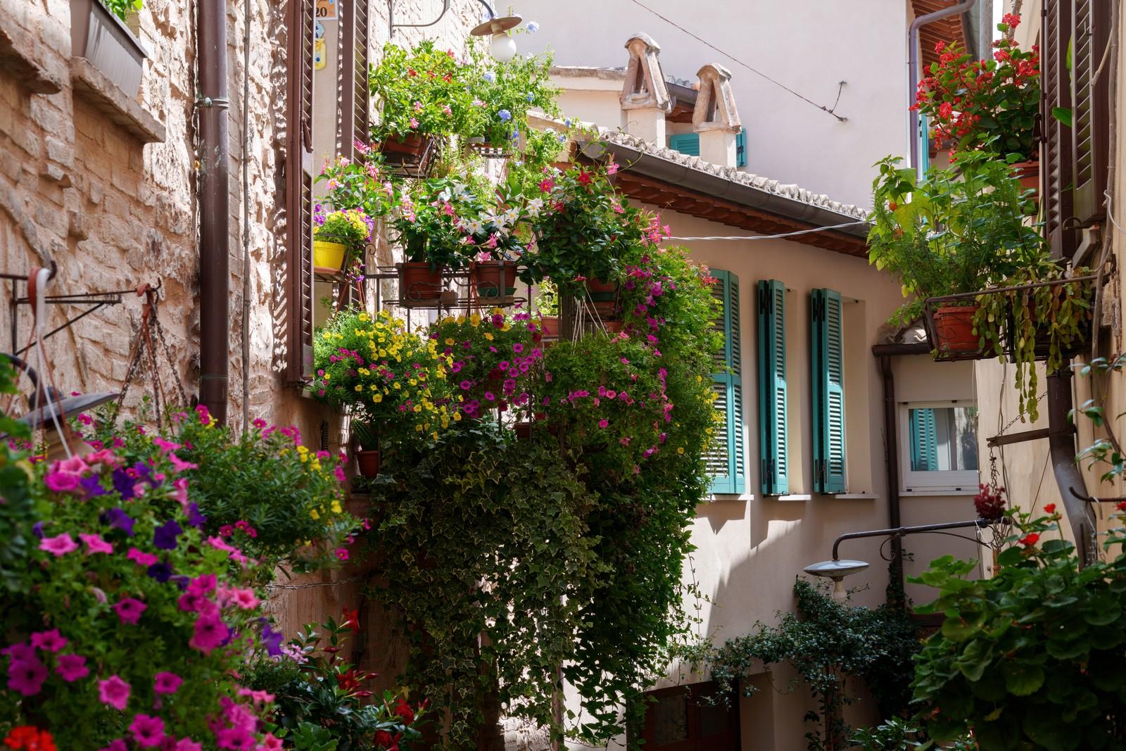 أومبريا مع الأطفال