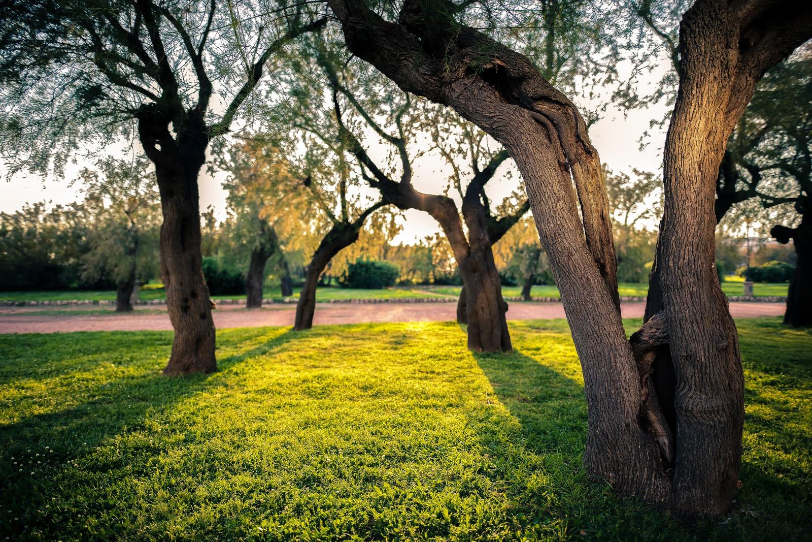 إيطاليا في الربيع