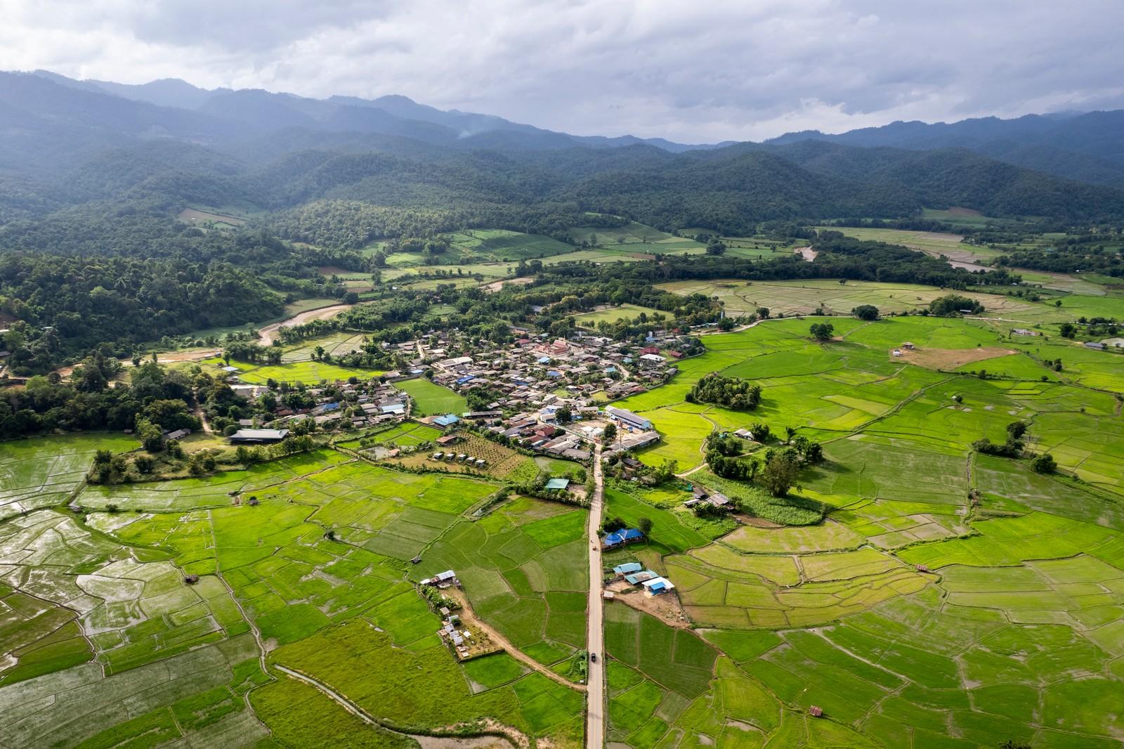 تايلاند في أغسطس