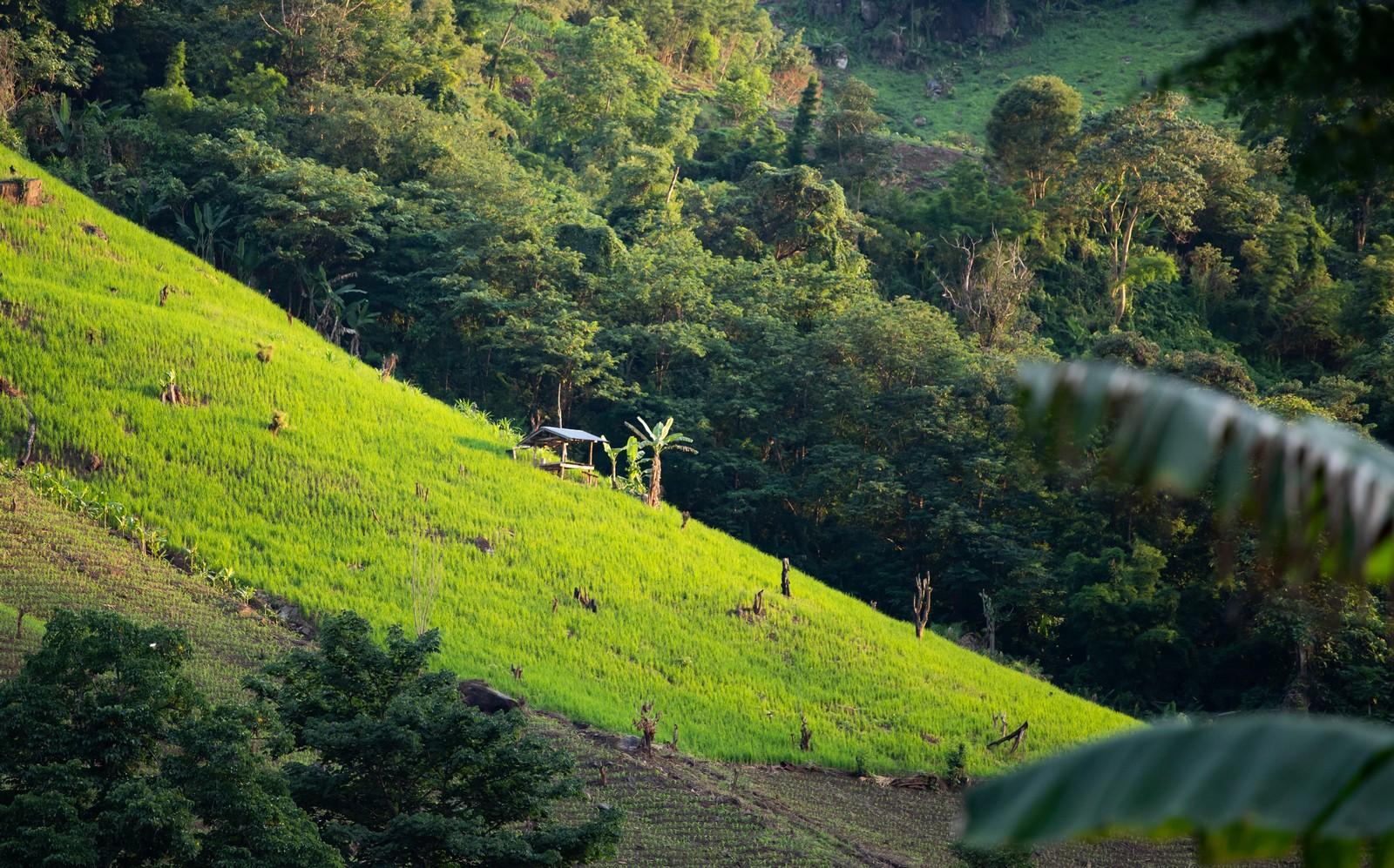 تايلاند في أكتوبر