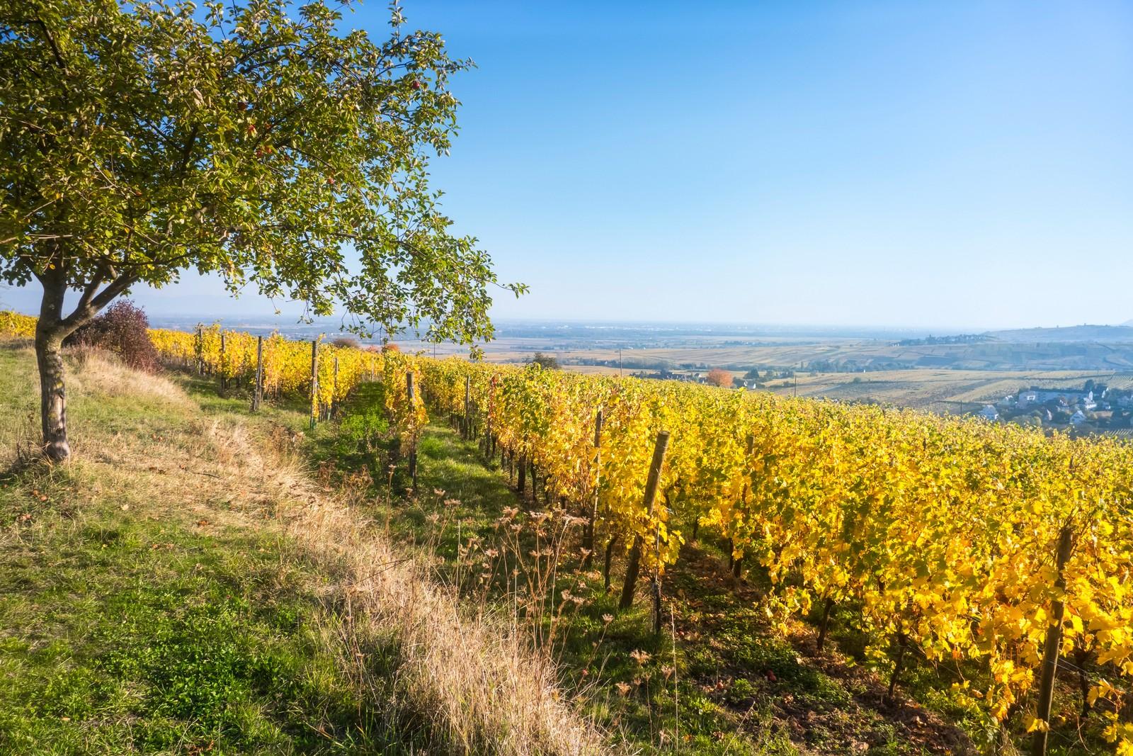 فرنسا في الخريف