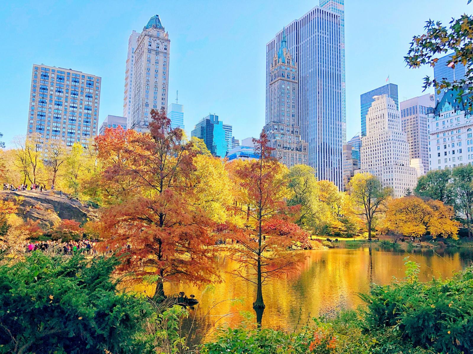 الولايات المتحدة في الخريف