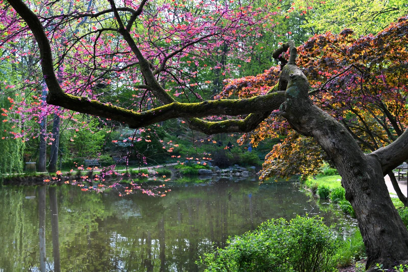 الولايات المتحدة في الربيع