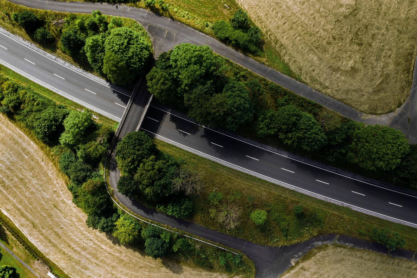 השכרת רכב באנגליה