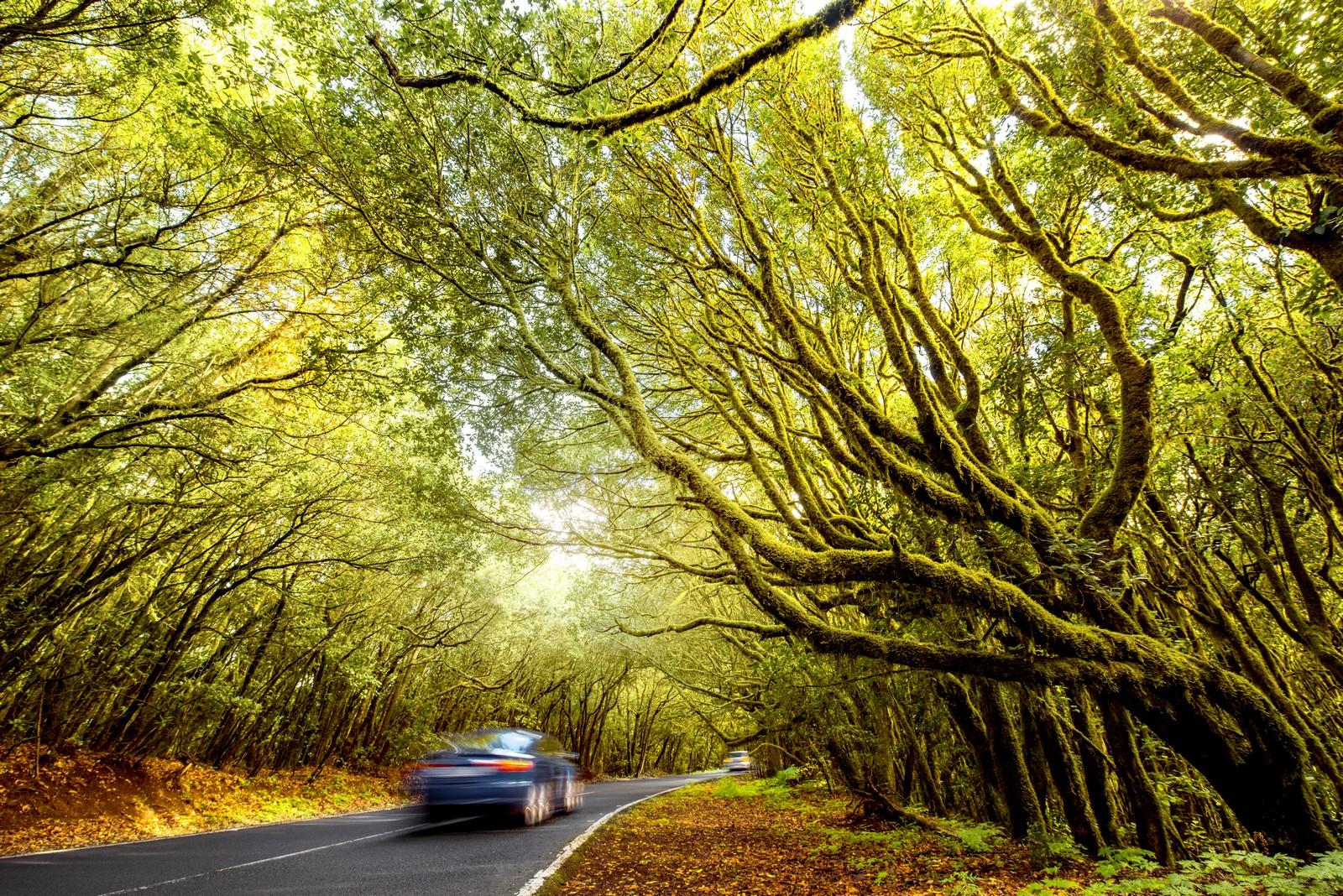 השכרת רכב באנגליה