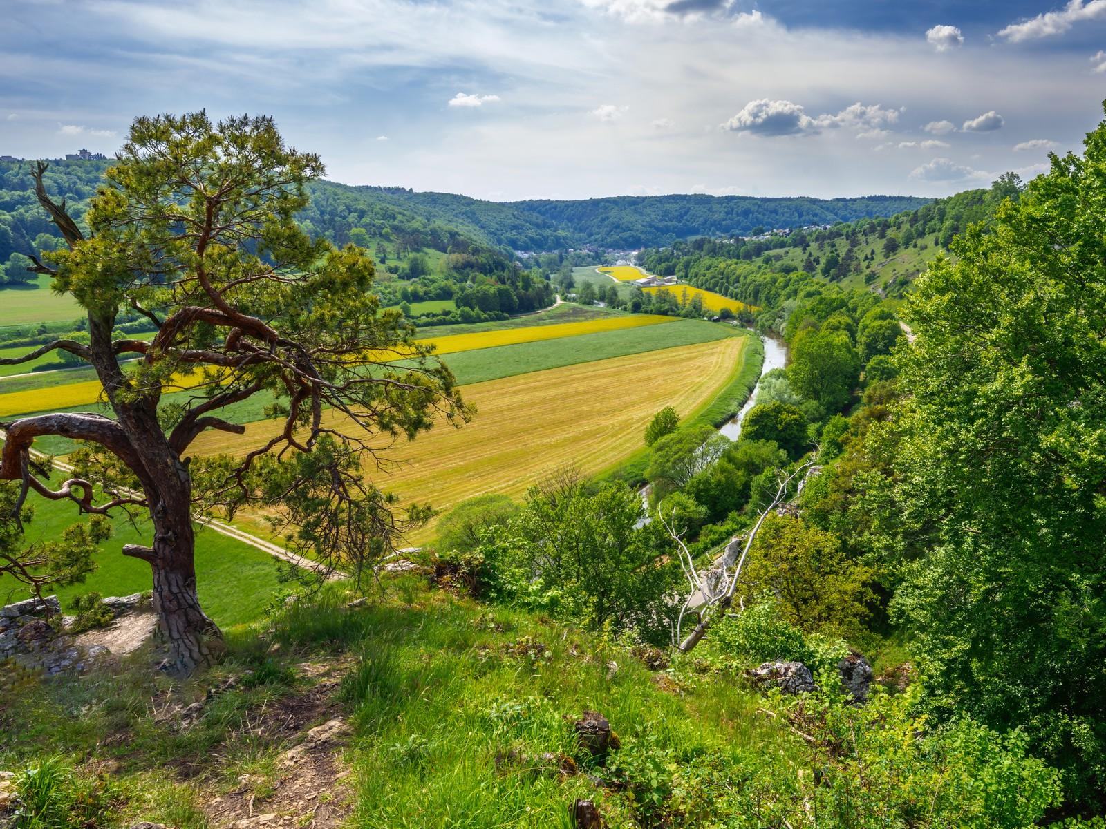 شهر العسل في ألمانيا
