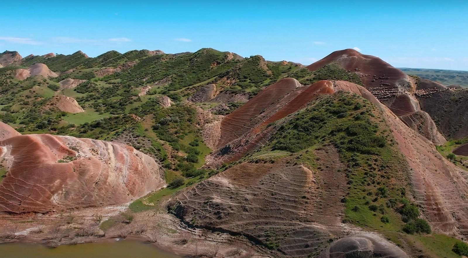 شهر العسل في جورجيا