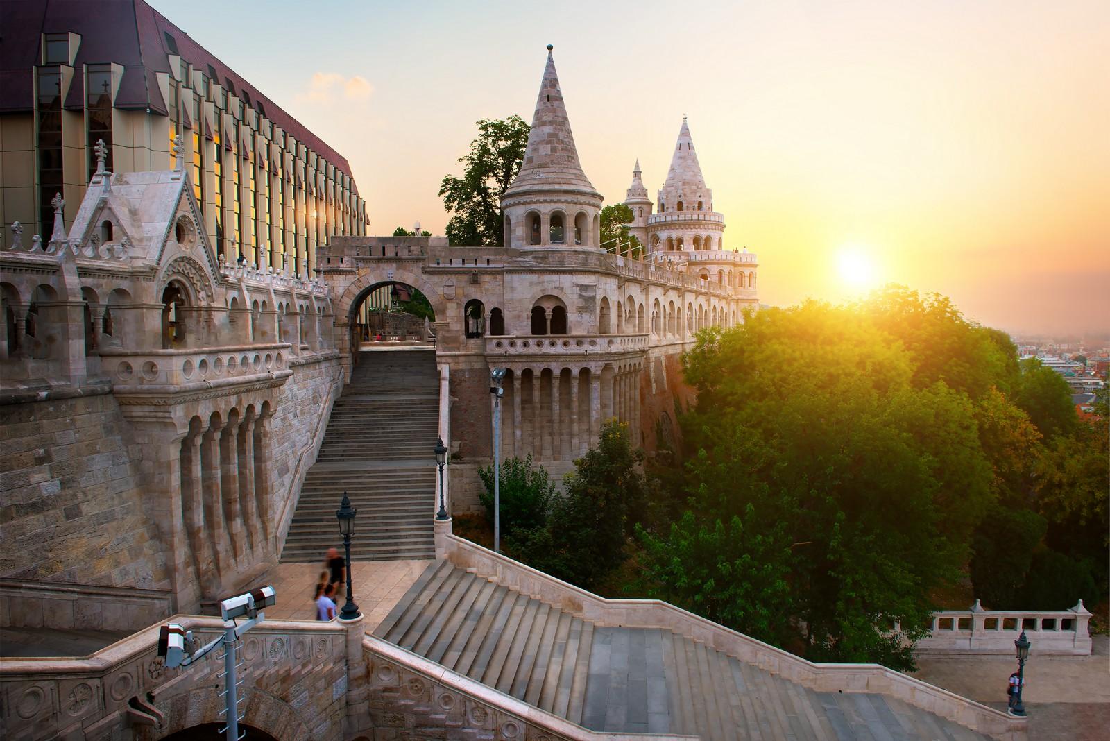 רח דבש בהונגריה