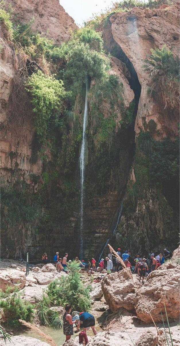 Ein Gedi
