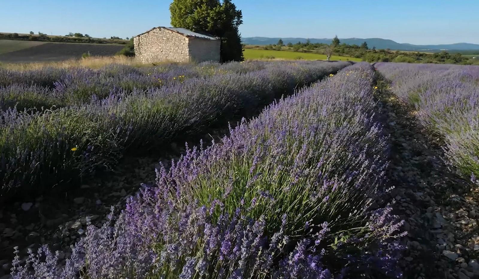 Provence