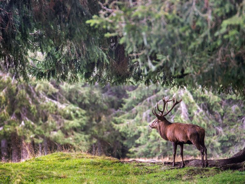 Riserva Naturale di Castelvecchio