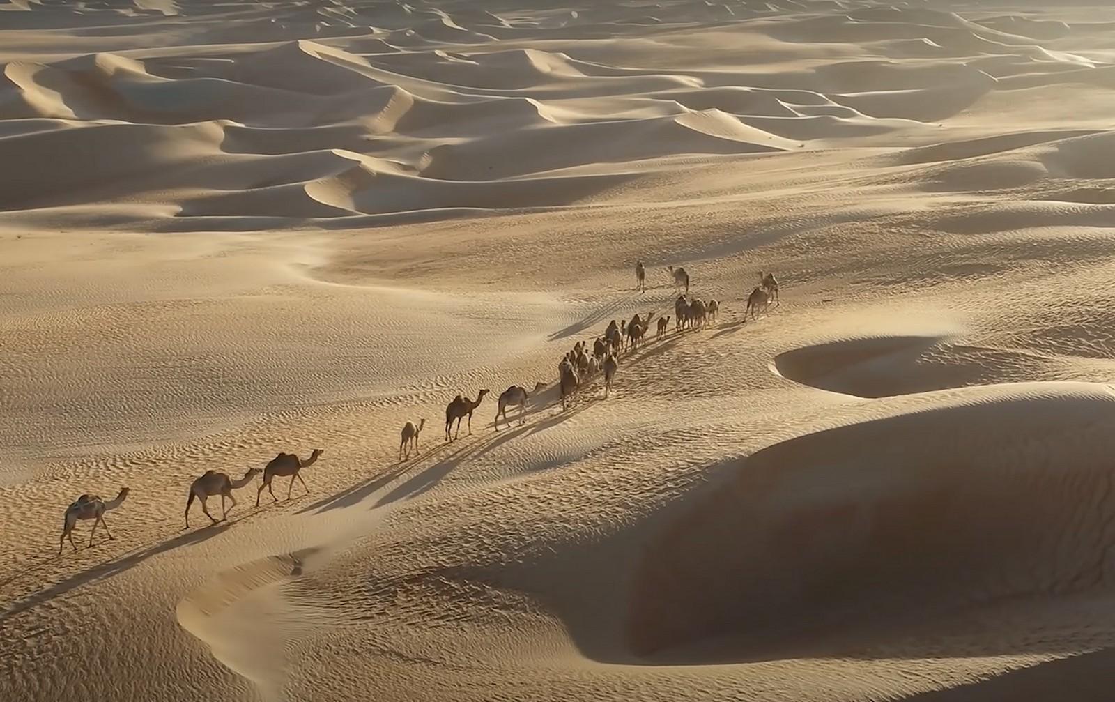 איחוד האמירויות