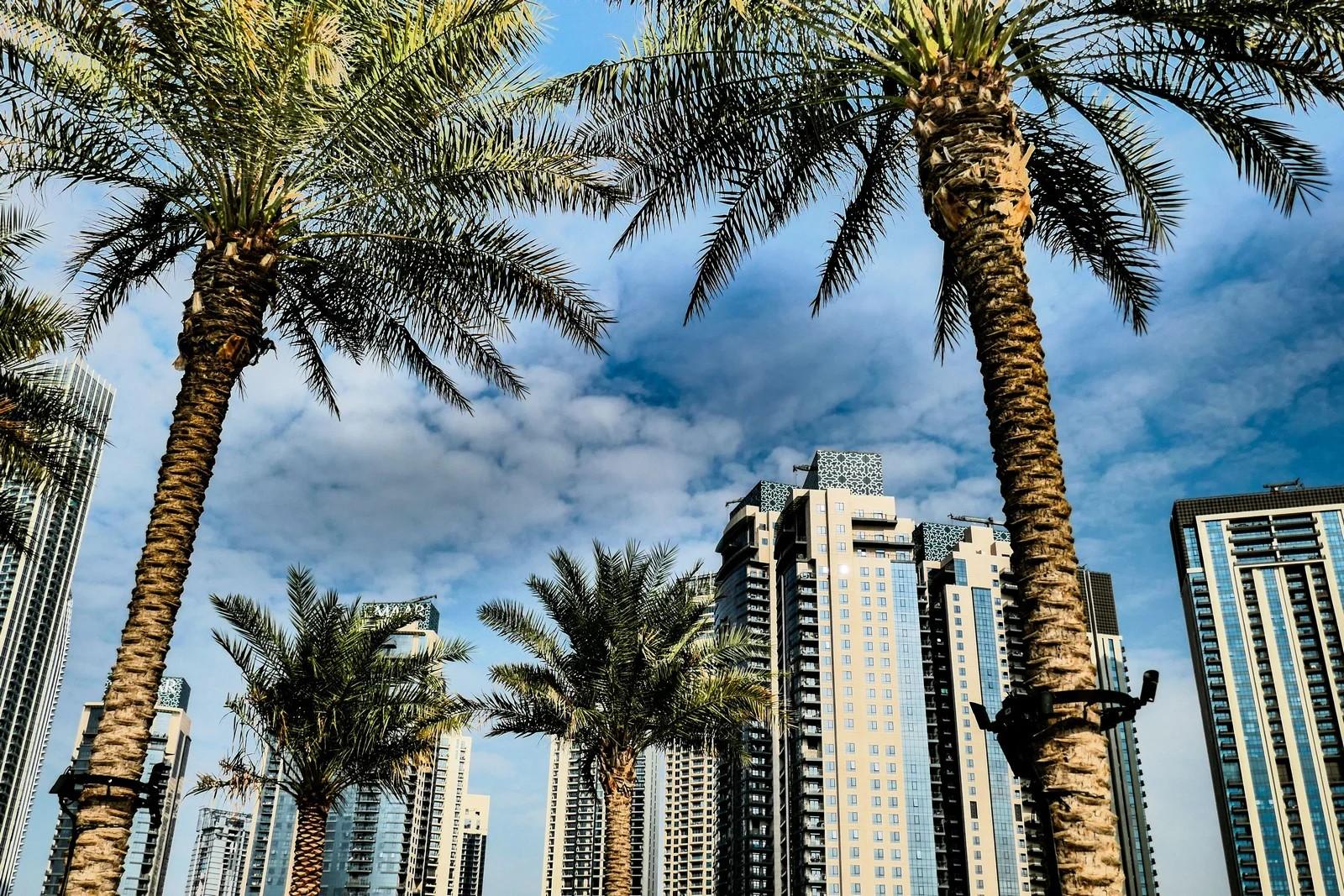 صفحة هبوط الإمارات العربية المتحدة