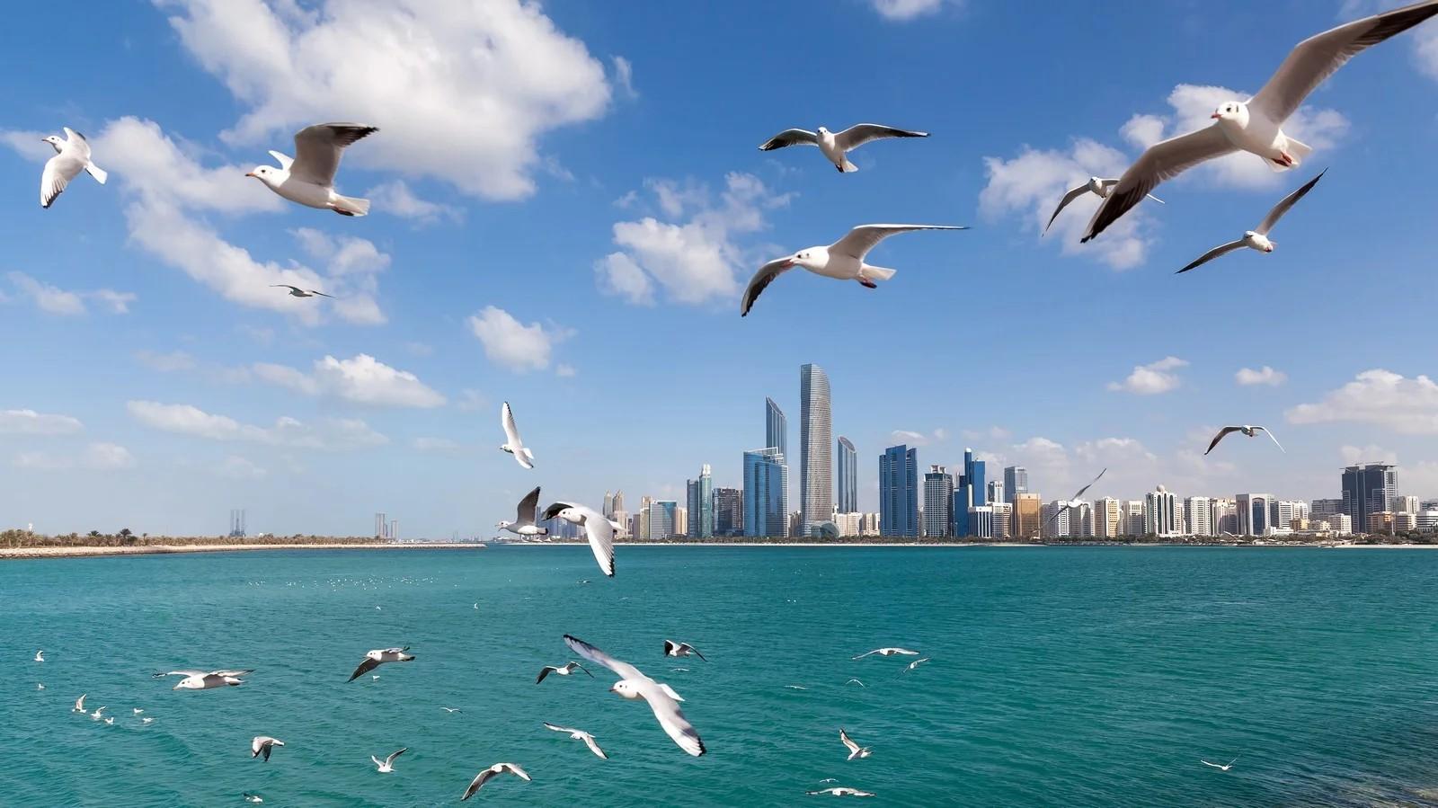 صفحة هبوط الإمارات العربية المتحدة
