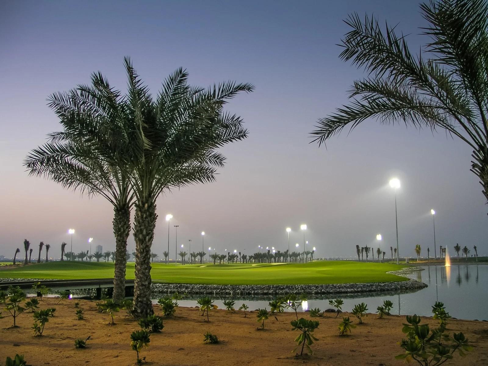 صفحة هبوط الإمارات العربية المتحدة