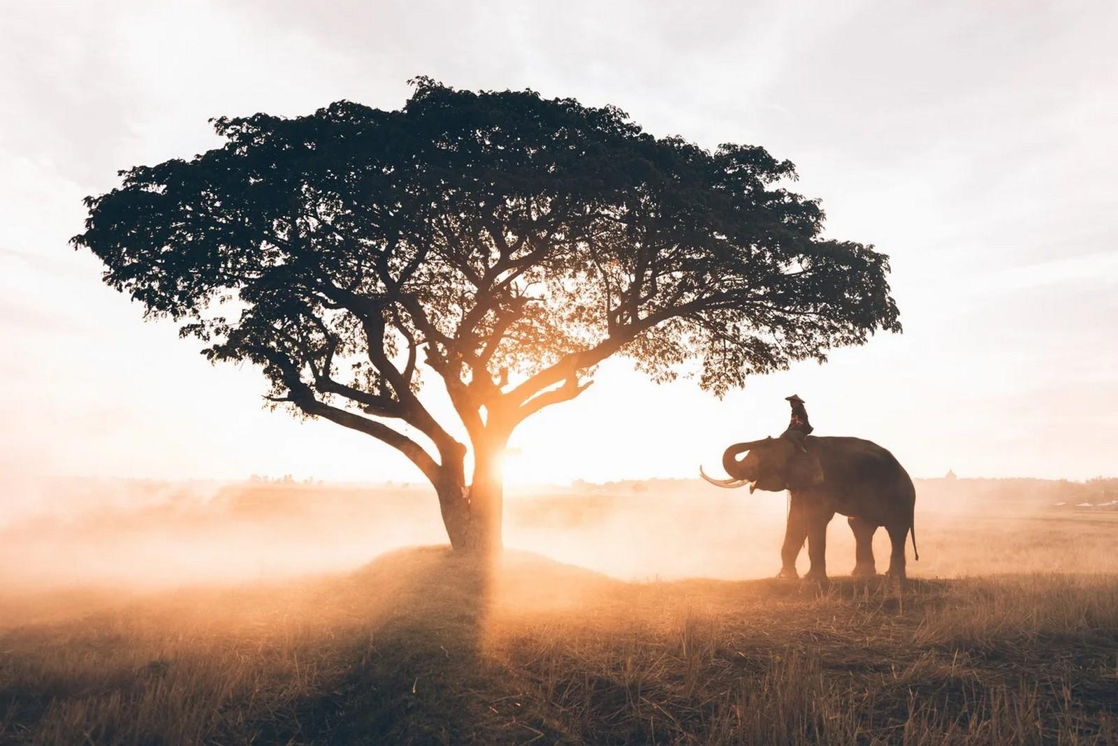 صفحة هبوط تايلاند