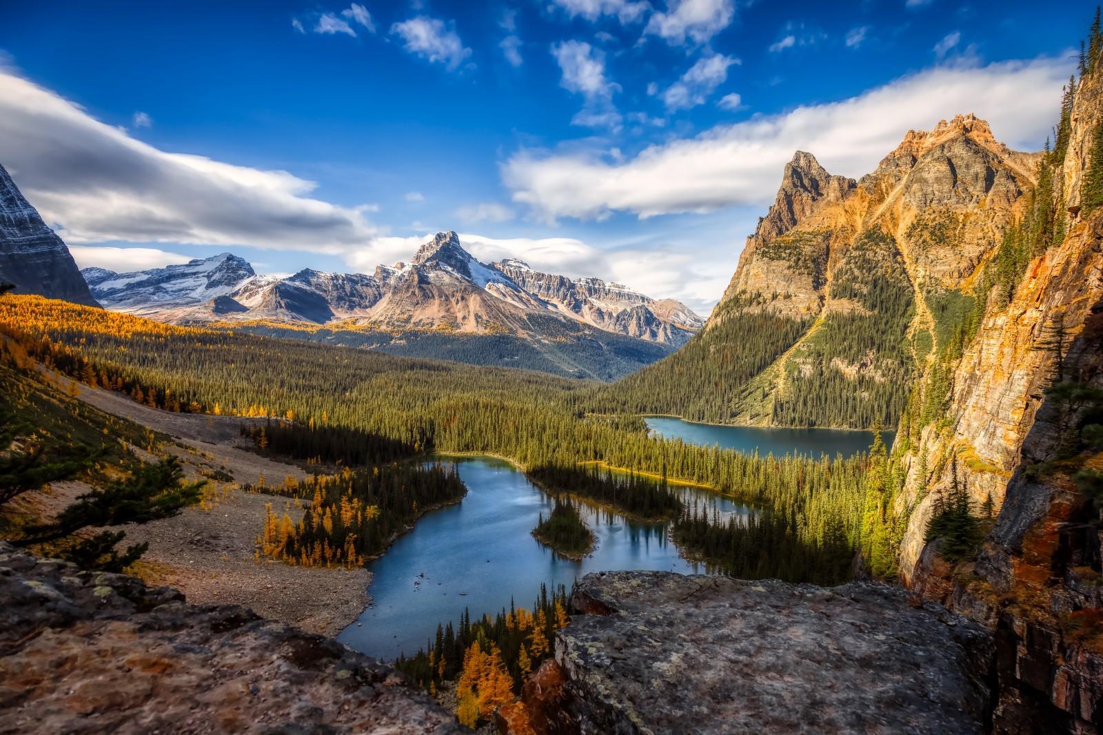 صفحة هبوط كندا