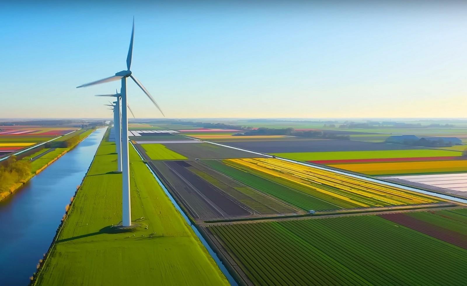 Нидерланды