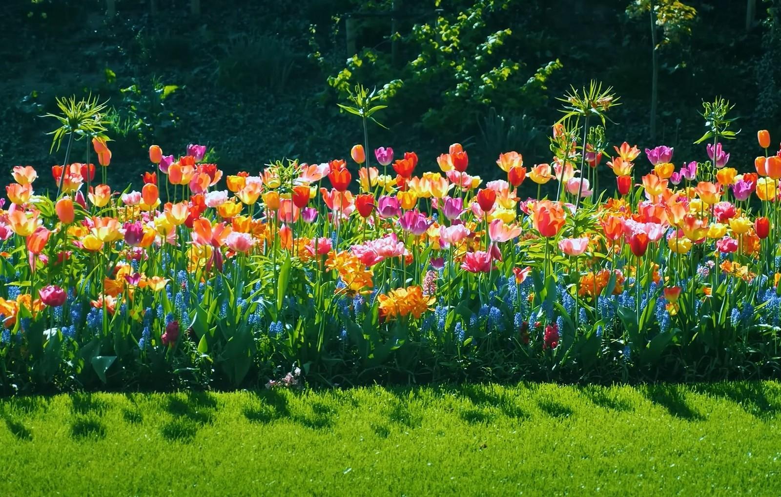 Нидерланды