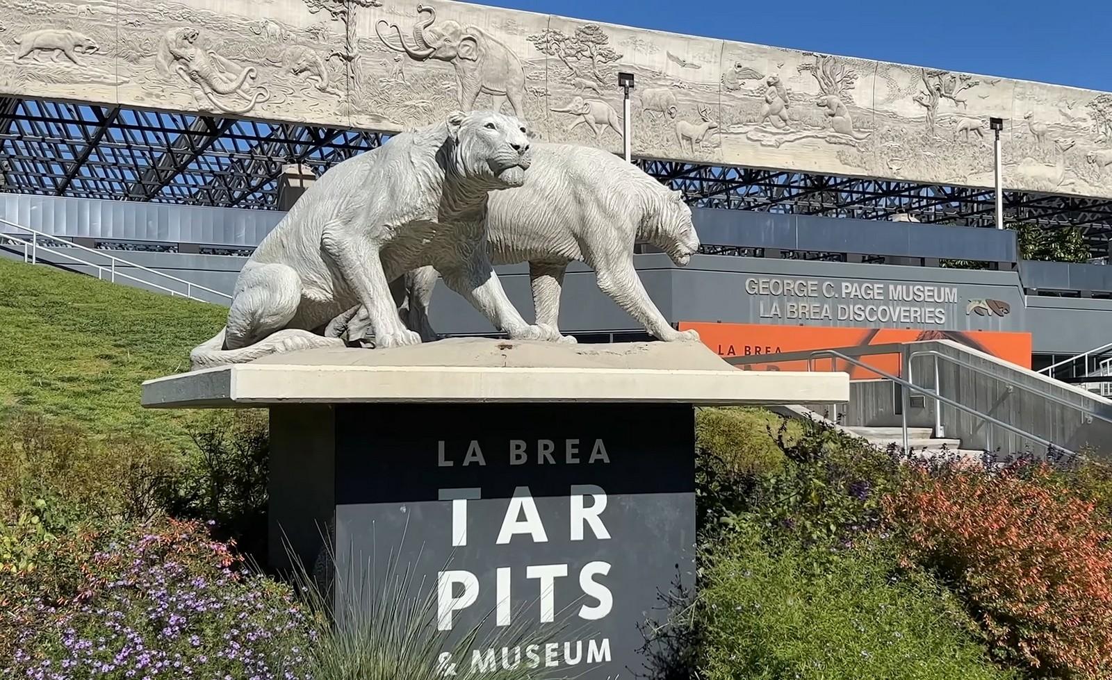 لوس أنجلوس مع الأطفال