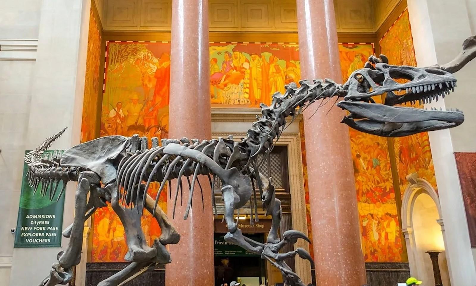 نيويورك مع الأطفال