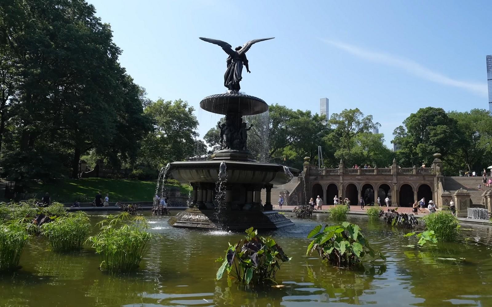 نيويورك مع الأطفال