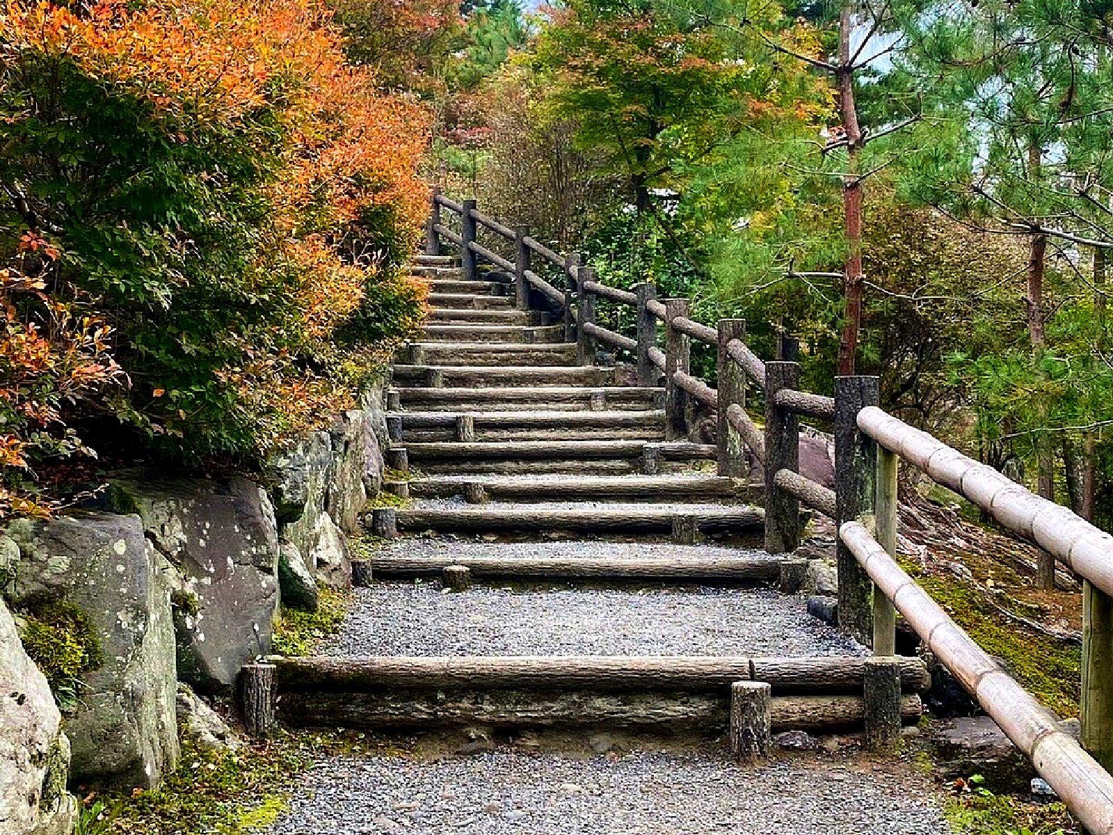 מקדש טנריוג'י