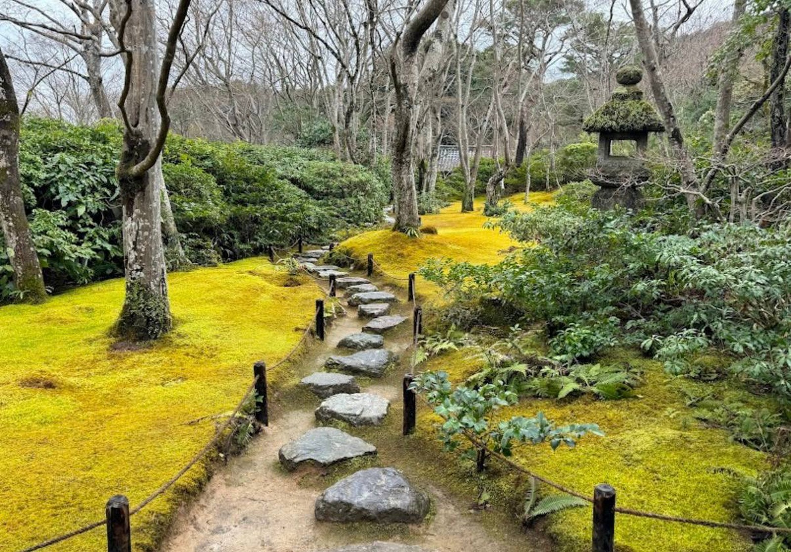 פארק במבוק יפן