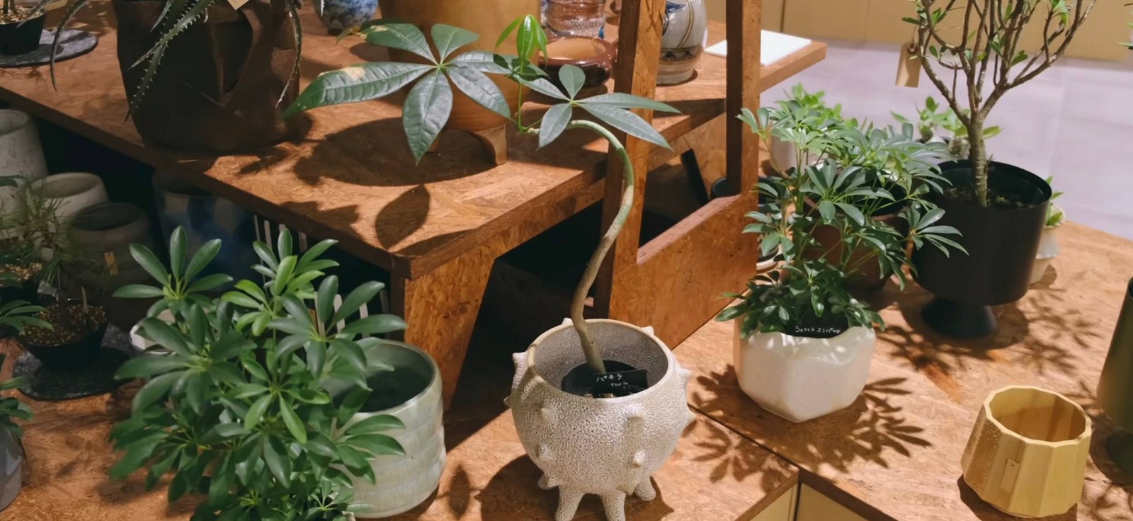 التسوق في طوكيو