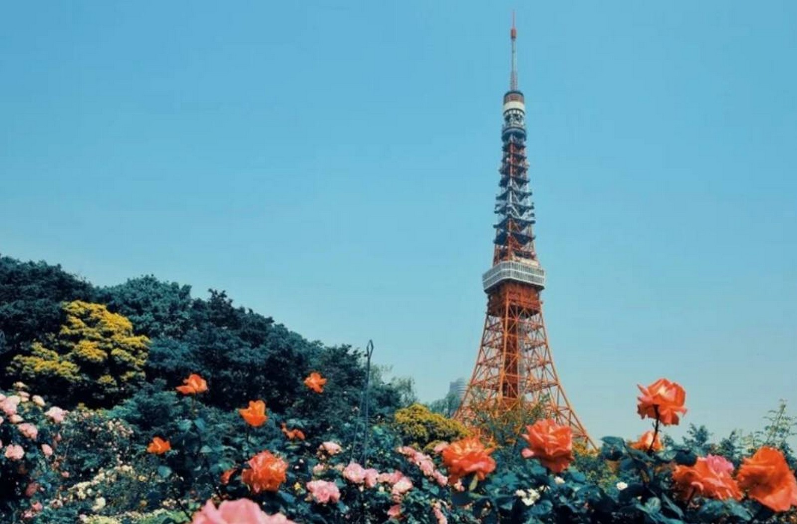 اليابان للأطفال