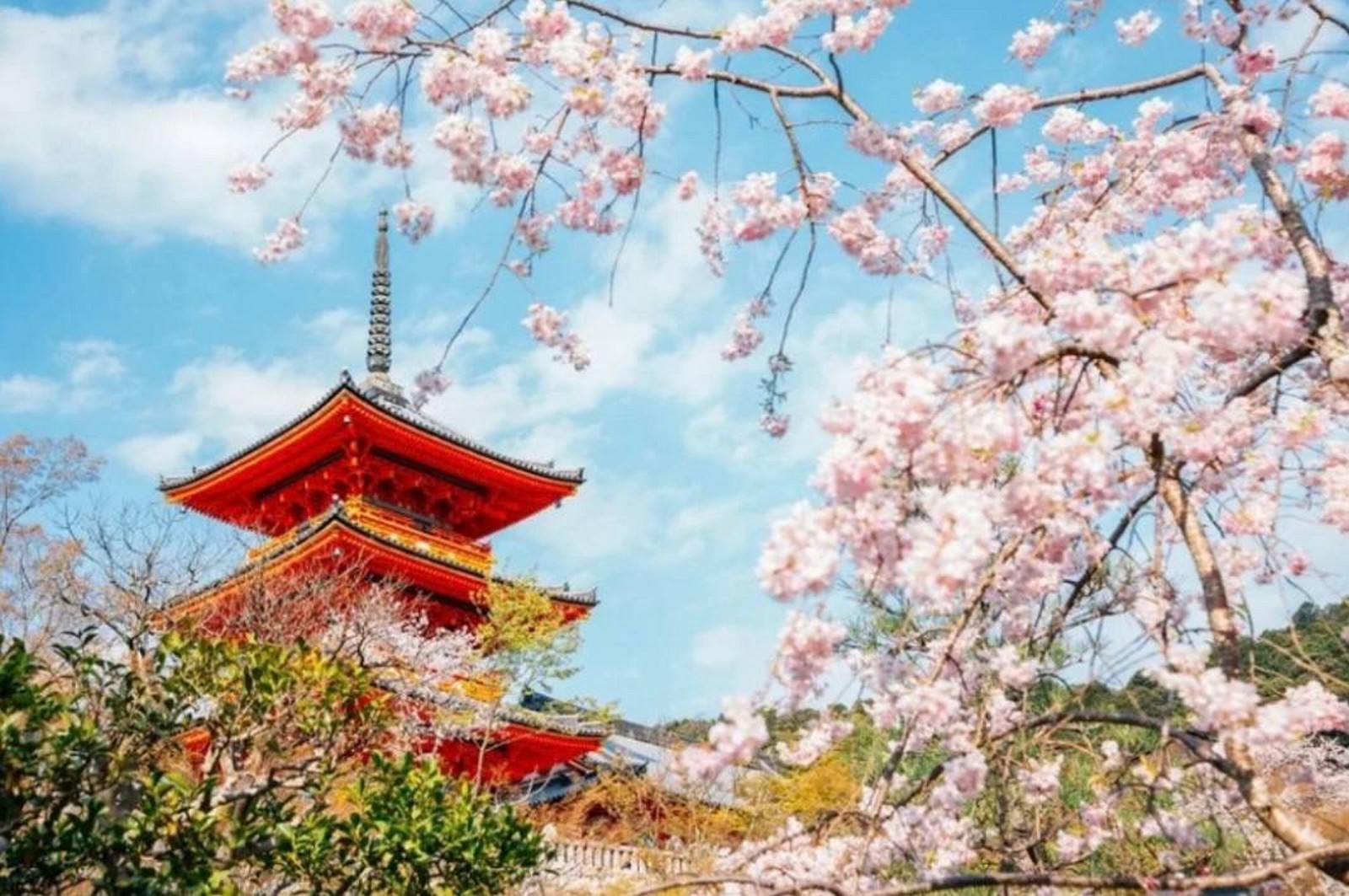 اليابان للأطفال